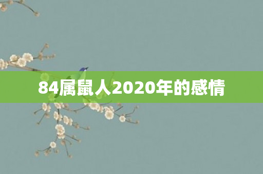 84属鼠人2020年的感情