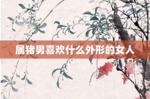 属猪男喜欢什么外形的女人