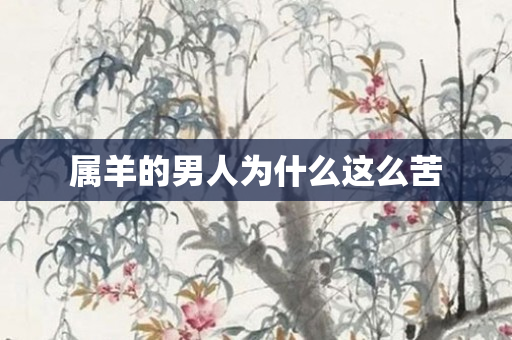 属羊的男人为什么这么苦
