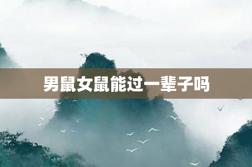 男鼠女鼠能过一辈子吗
