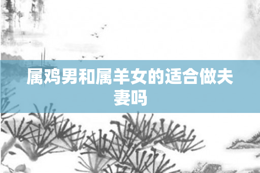 属鸡男和属羊女的适合做夫妻吗