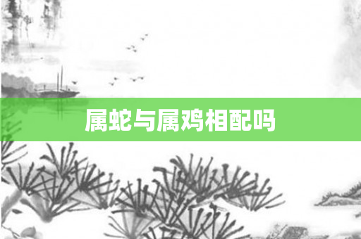 属蛇与属鸡相配吗