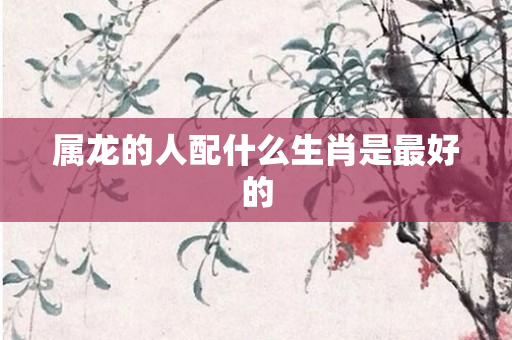 属龙的人配什么生肖是更好的