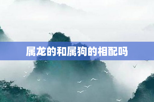 属龙的和属狗的相配吗