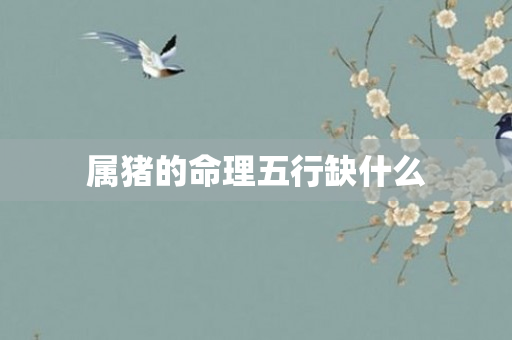 属猪的命理五行缺什么