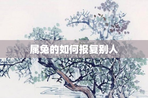 属兔的如何报复别人