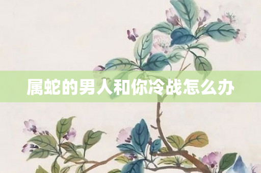 属蛇的男人和你冷战怎么办