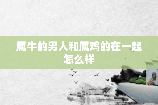 属牛的男人和属鸡的在一起怎么样