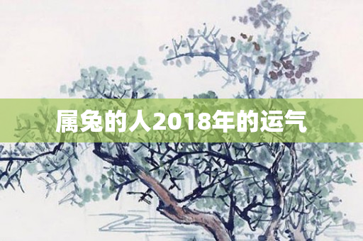 属兔的人2018年的运气