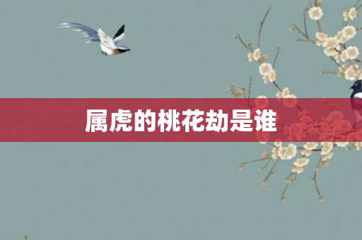 属虎的桃花劫是谁