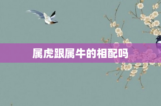 属虎跟属牛的相配吗
