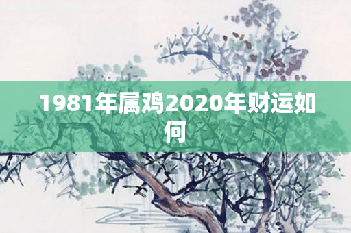 1981年属鸡2020年财运如何