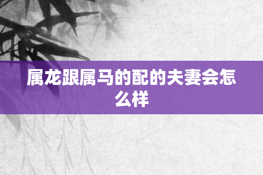 属龙跟属马的配的夫妻会怎么样