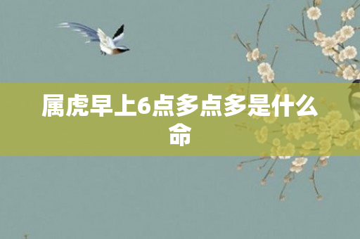属虎早上6点多点多是什么命