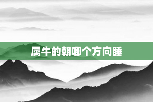 属牛的朝哪个方向睡
