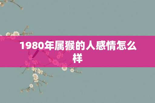 1980年属猴的人感情怎么样