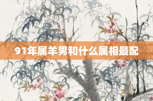 91年属羊男和什么属相最配