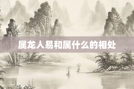 属龙人易和属什么的相处