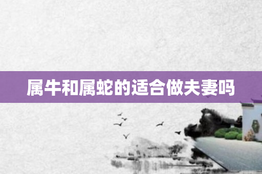 属牛和属蛇的适合做夫妻吗