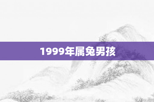 1999年属兔男孩