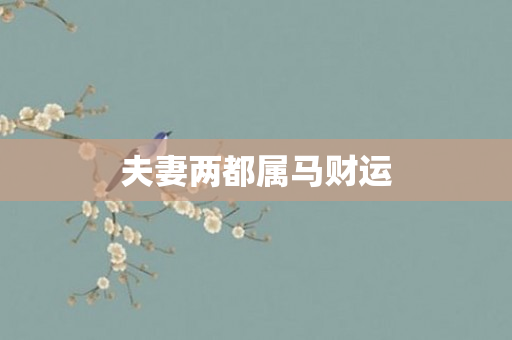 夫妻两都属马财运