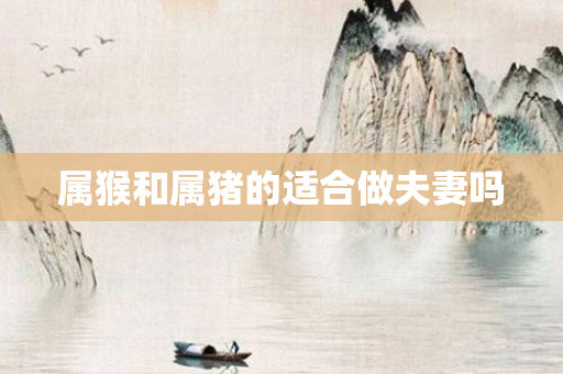 属猴和属猪的适合做夫妻吗