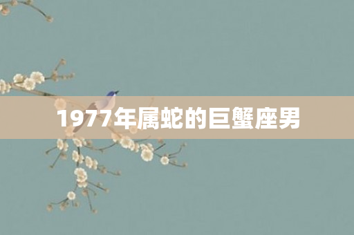1977年属蛇的巨蟹座男