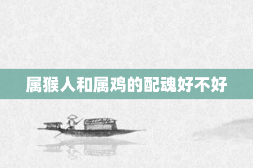 属猴人和属鸡的配魂好不好
