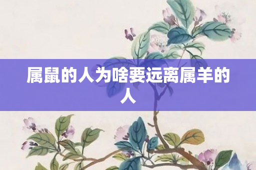 属鼠的人为啥要远离属羊的人
