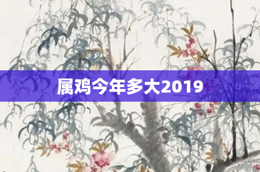 属鸡今年多大2019