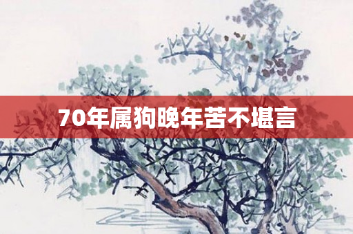 70年属狗晚年苦不堪言