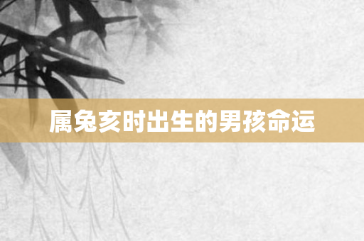 属兔亥时出生的男孩命运