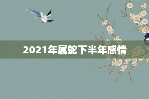 2021年属蛇下半年感情