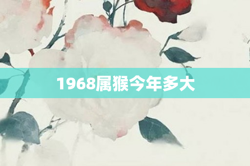 1968属猴今年多大