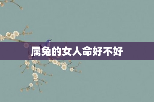 属兔的女人命好不好