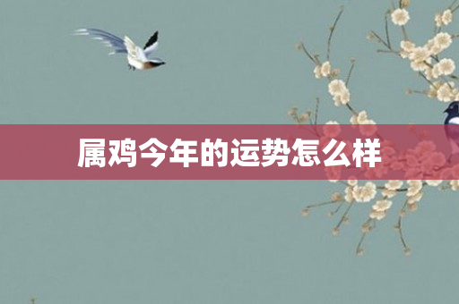 属鸡今年的运势怎么样