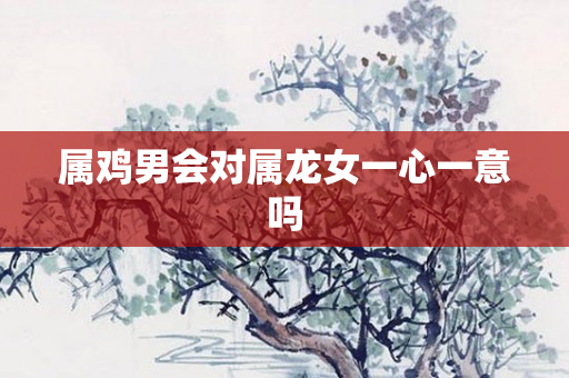 属鸡男会对属龙女一心一意吗