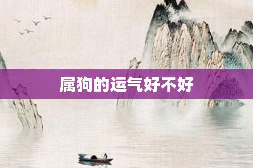 属狗的运气好不好