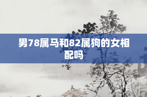 男78属马和82属狗的女相配吗
