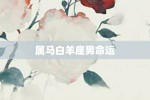 属马白羊座男命运