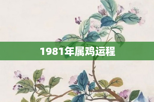 1981年属鸡运程