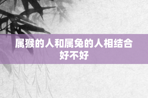 属猴的人和属兔的人相结合好不好