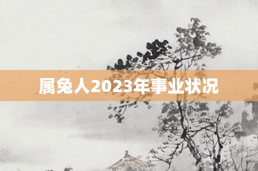 属兔人2023年事业状况