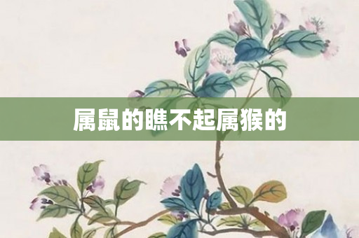 属鼠的瞧不起属猴的