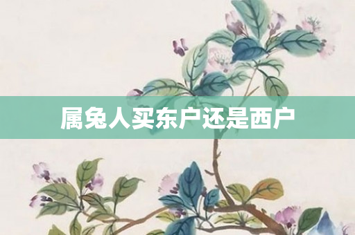 属兔人买东户还是西户