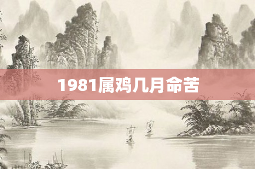 1981属鸡几月命苦