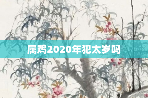 属鸡2020年犯太岁吗