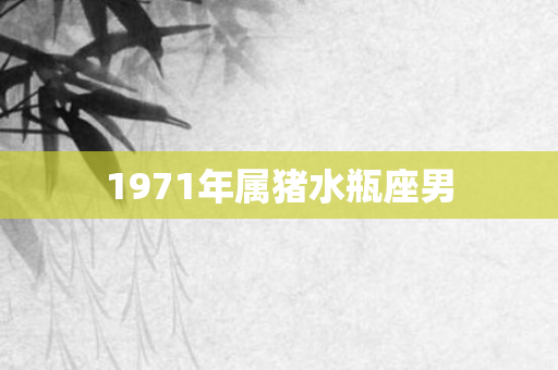 1971年属猪水瓶座男