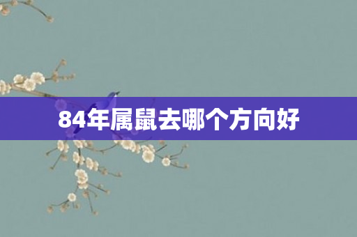 84年属鼠去哪个方向好