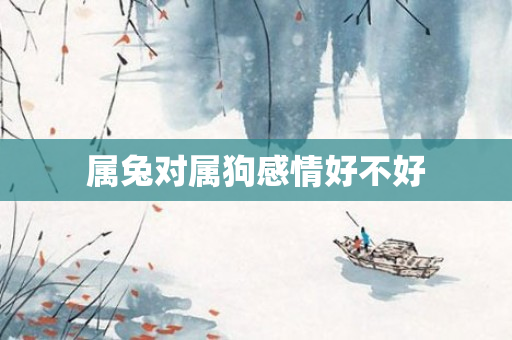 属兔对属狗感情好不好
